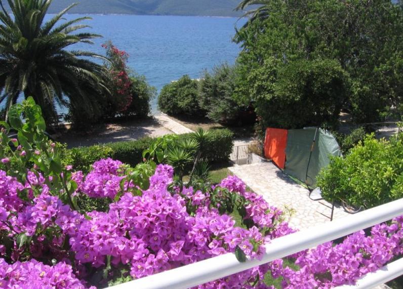 Apartament Grego *